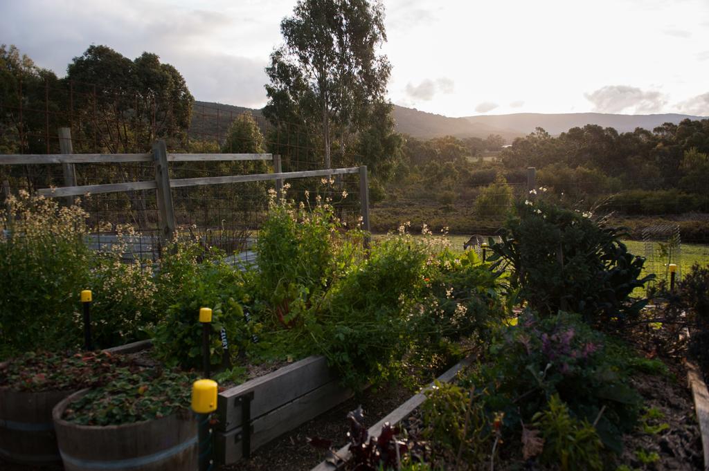 Villa Boroka Downs Halls Gap Exterior foto