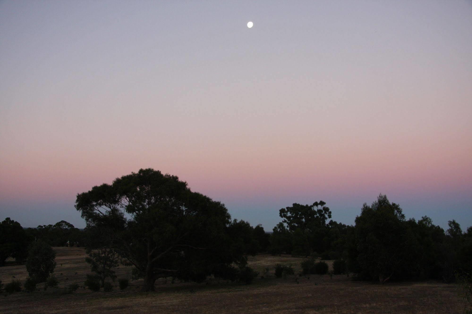 Villa Boroka Downs Halls Gap Exterior foto